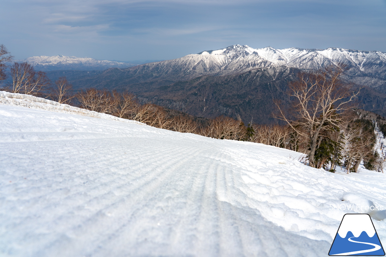 大雪山層雲峡・黒岳ロープウェイスキー場｜驚異の積雪 290cm！コンディション上々な黒岳で、最高に気持ちの良い春スキー＆スノーボードを楽しみましょう♪